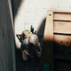 Image for article titled Behold The Deadliest Crate In All Of PlayerUnknown's Battlegrounds